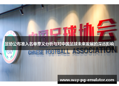足协公布准入名单意义分析与对中国足球未来发展的深远影响
