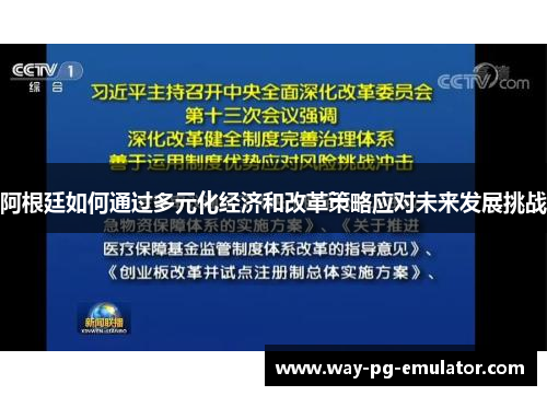 阿根廷如何通过多元化经济和改革策略应对未来发展挑战