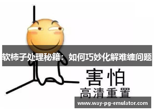 软柿子处理秘籍：如何巧妙化解难缠问题