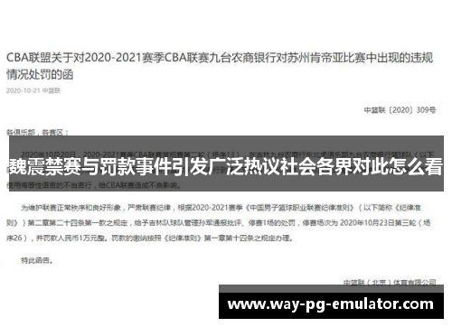 魏震禁赛与罚款事件引发广泛热议社会各界对此怎么看