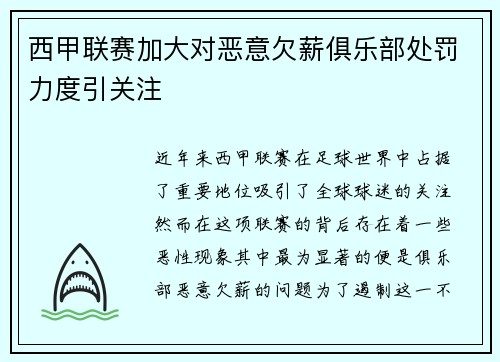 西甲联赛加大对恶意欠薪俱乐部处罚力度引关注